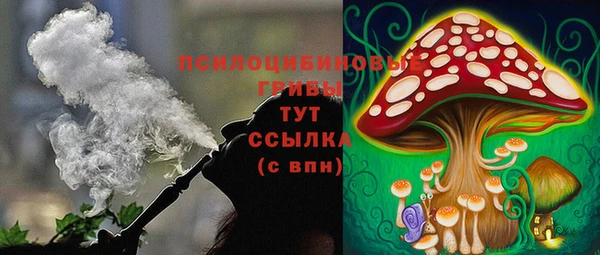 мет Ельня