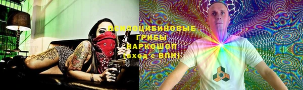 тгк Заволжск