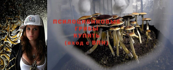 эйфоретик Елабуга