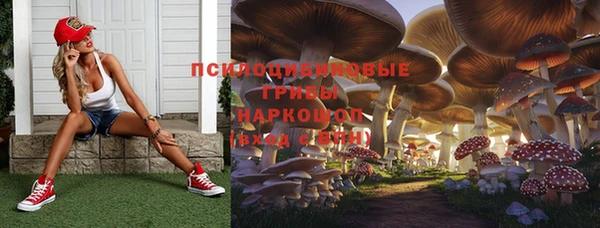 гидропоника Елизово