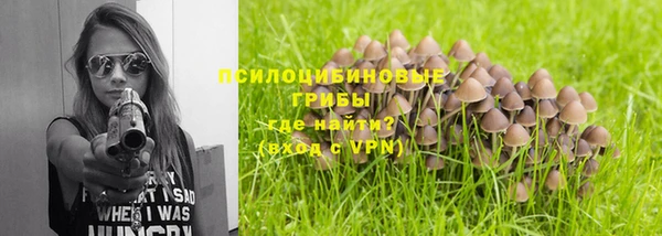 гидропоника Елизово