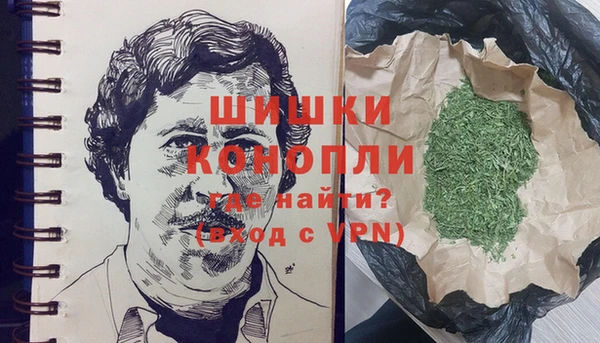 мет Ельня