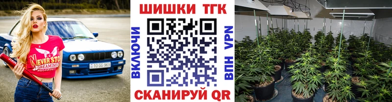 Бошки марихуана THC 21% Руза